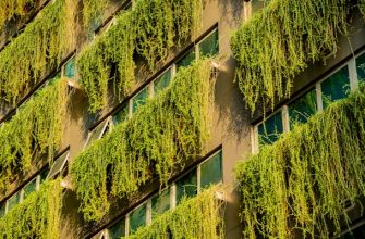 Eco-Friendly Innovations: The Role of Sustainability in Tokenized Property Development