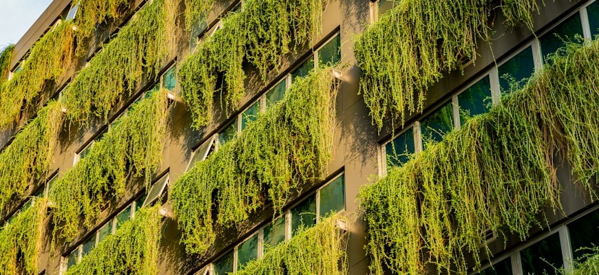 Eco-Friendly Innovations: The Role of Sustainability in Tokenized Property Development