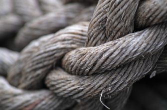 Learning the Ropes: Comprehensive Educational Resources for Tokenized Real Estate
