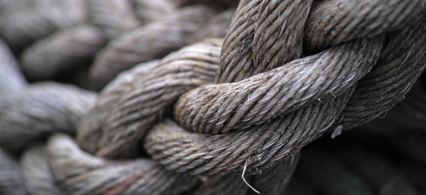 Learning the Ropes: Comprehensive Educational Resources for Tokenized Real Estate