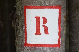 Decoding RWA: Understanding Real World Assets in the Digital Realm
