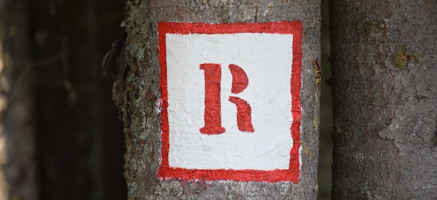 Decoding RWA: Understanding Real World Assets in the Digital Realm